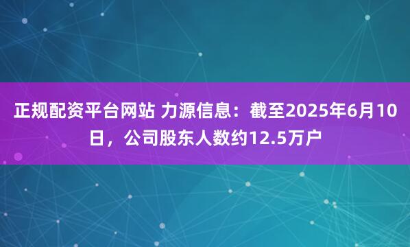 正规配资平台网站 力源信息：截至2025年6月10日，公司股东人数约12.5万户