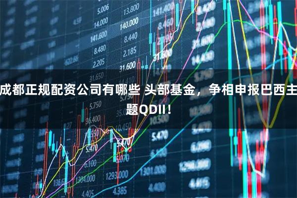 成都正规配资公司有哪些 头部基金，争相申报巴西主题QDII！